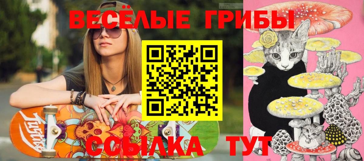 Ярцево  Псилоцибиновые грибы Psilocybe  Вход с VPN 